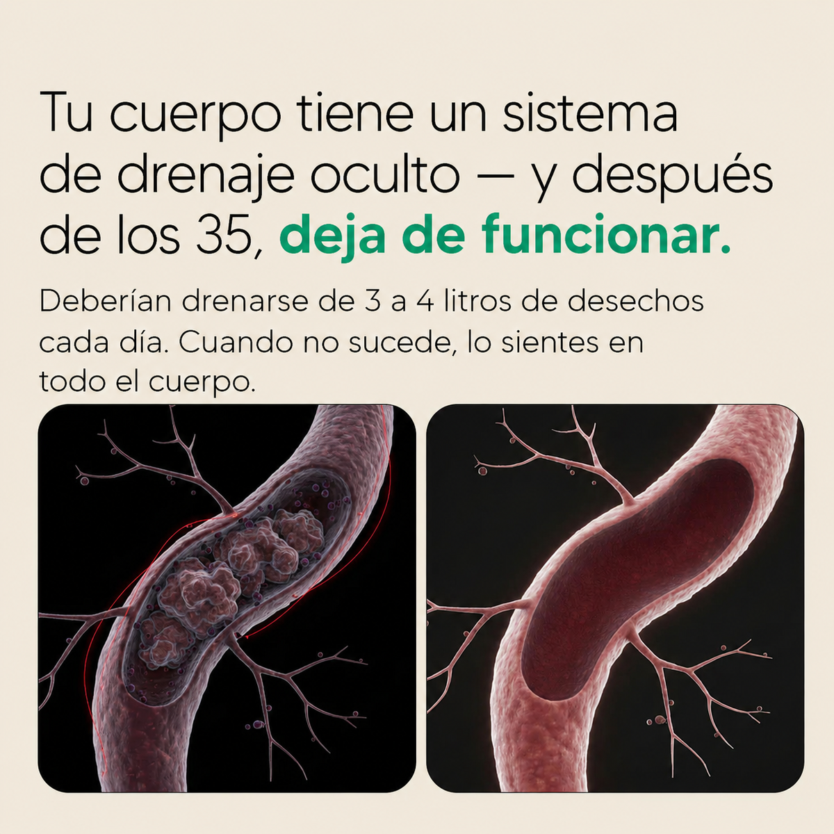 Nueva fórmula de máxima potencia: cápsulas para el drenaje linfático de BienStar Viva™
