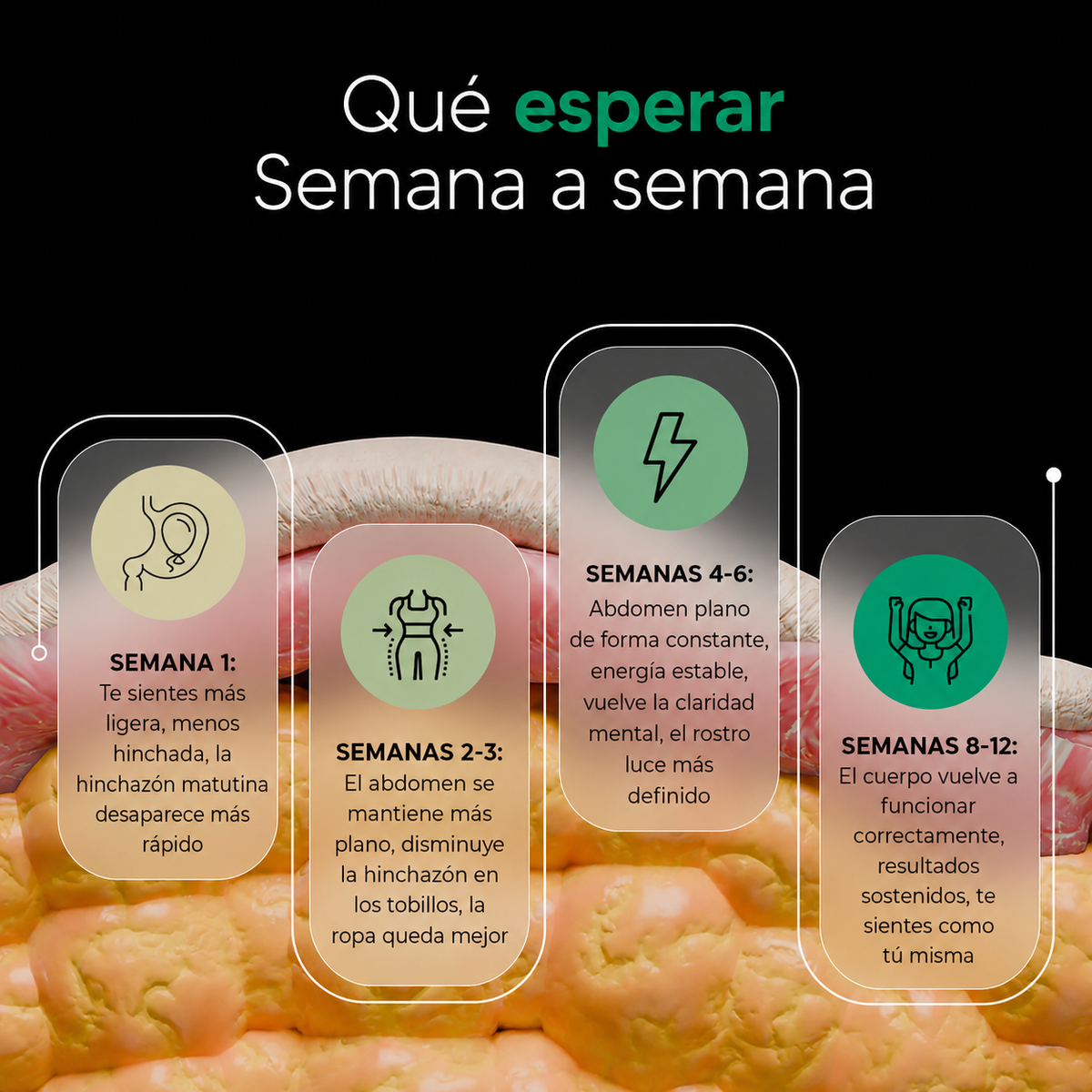 Nueva fórmula de máxima potencia: cápsulas para el drenaje linfático de BienStar Viva™