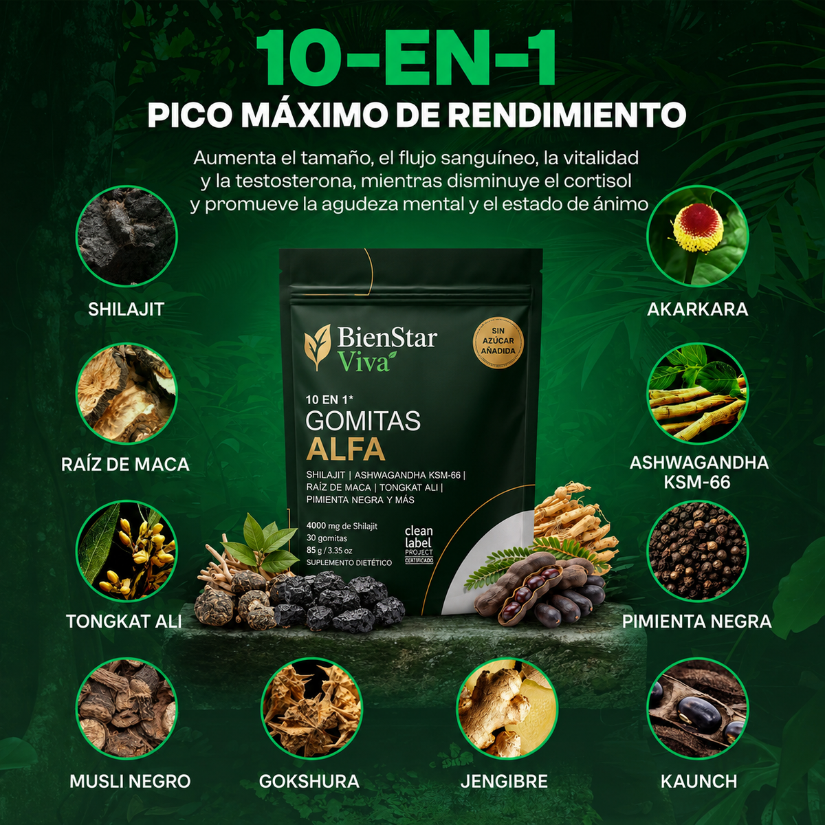 BienStar Viva™ | Potenciador masculino natural 10 en 1 (OFERTA)