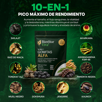 BienStar Viva™ | Potenciador masculino natural 10 en 1 (OFERTA)