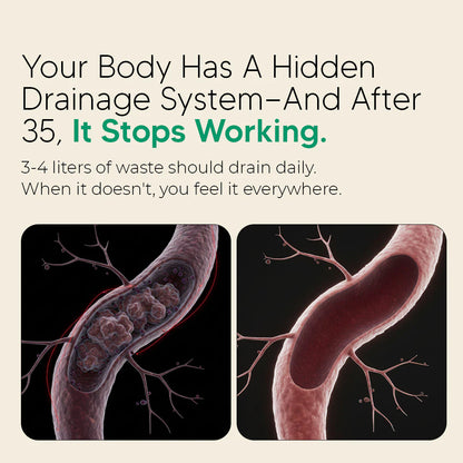 Nueva fórmula de máxima potencia: cápsulas para el drenaje linfático de BienStar Viva™